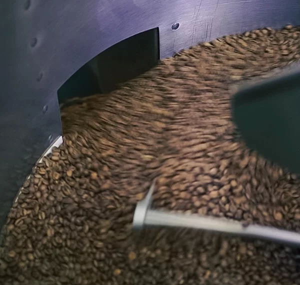 DUTCH COLONY SINGAPORE MENU PRICES UPDATED 2023