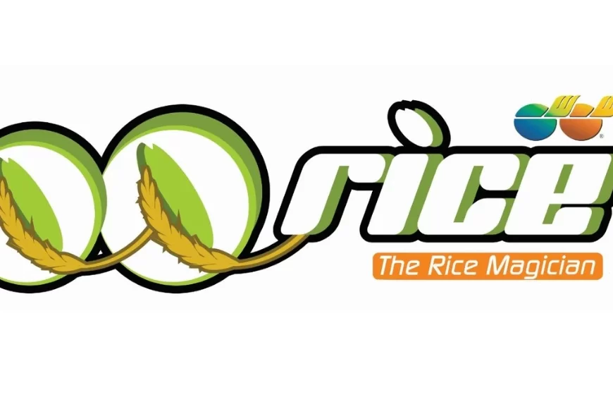 qq rice menu
