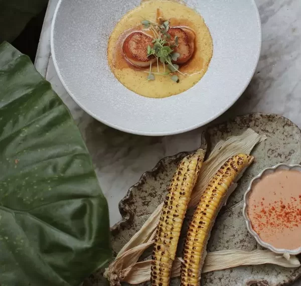 Open Farm Community Menu